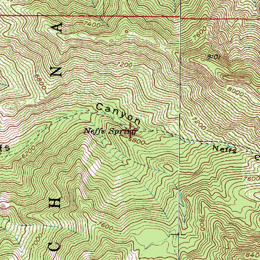 Topographic Map of Neffs Spring, UT