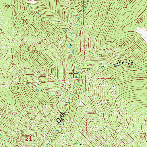 Topographic Map of Neils Fork, UT