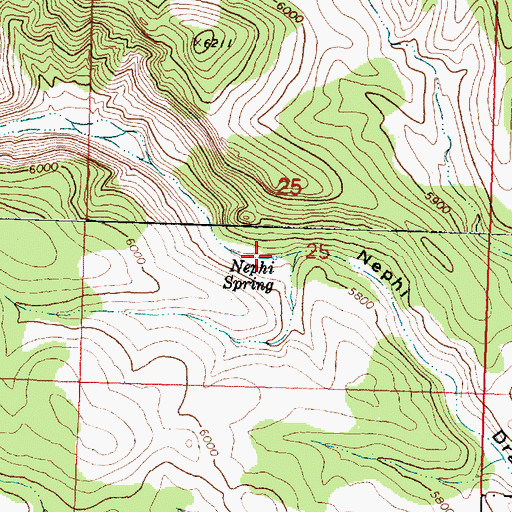 Topographic Map of Nephi Spring, UT