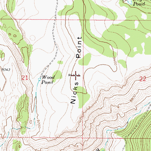 Topographic Map of Nicks Point, UT