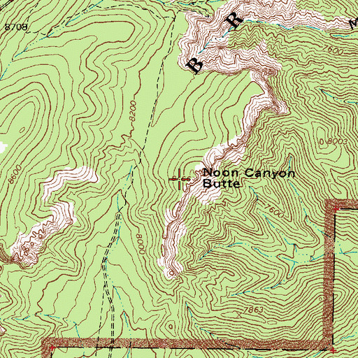 Topographic Map of Noon Canyon Butte, UT