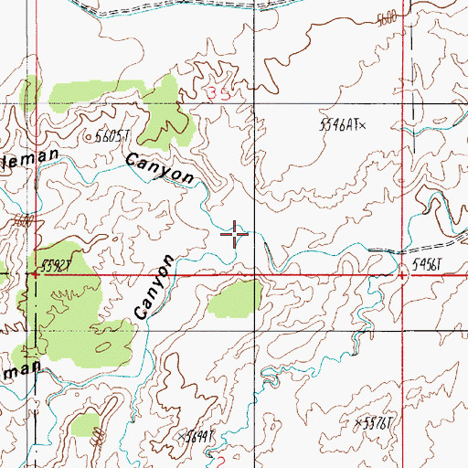 Topographic Map of North Coleman Canyon, UT