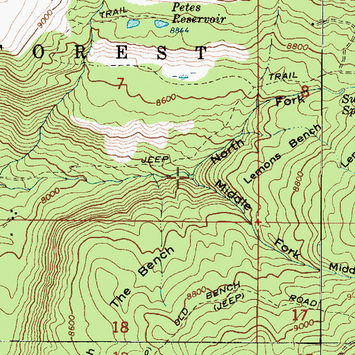 Topographic Map of North Fork Manti Canyon, UT