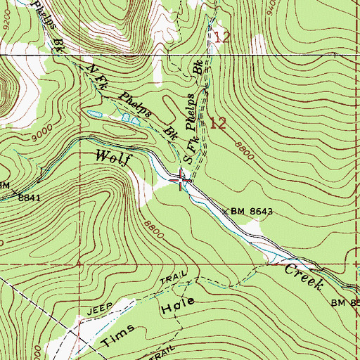 Topographic Map of North Fork Phelps Brook, UT