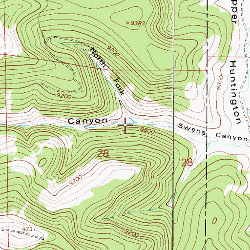 Topographic Map of North Fork Swens Canyon, UT