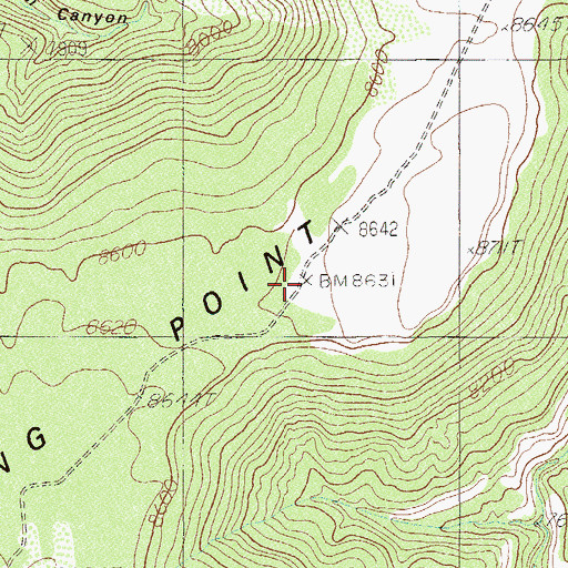 Topographic Map of North Long Point, UT
