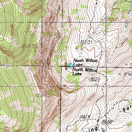 Topographic Map of North Willow Lake, UT