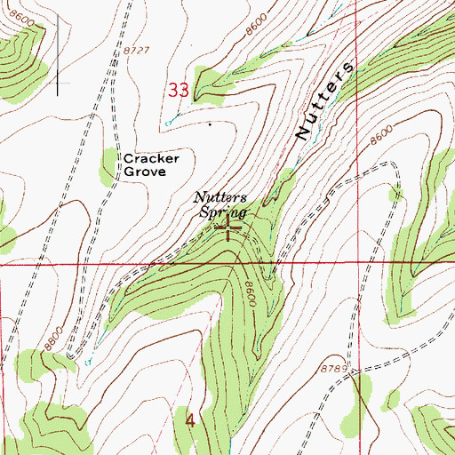 Topographic Map of Nutters Spring, UT