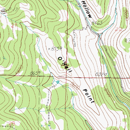 Topographic Map of O'Neil Point, UT