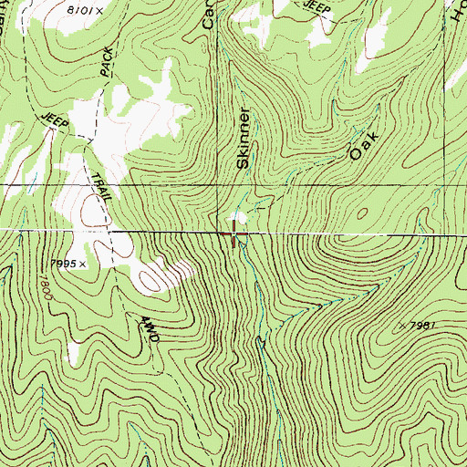 Topographic Map of Oak Hollow, UT