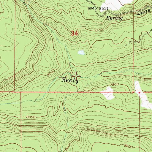 Topographic Map of Olsen Canyon, UT
