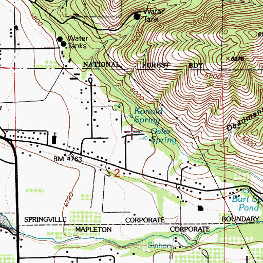 Topographic Map of Osler Spring, UT