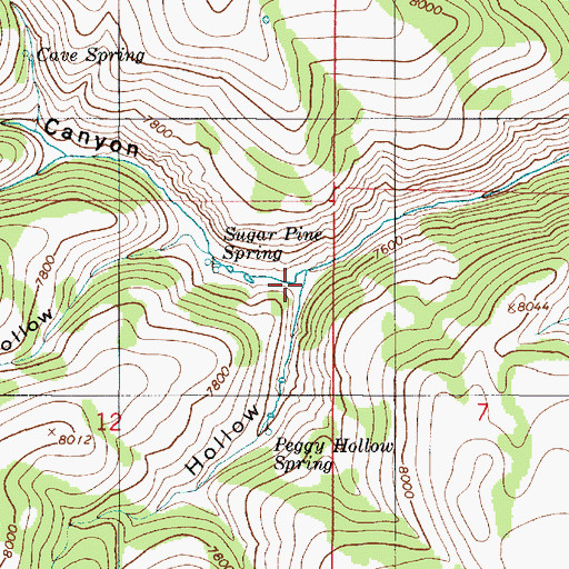 Topographic Map of Peggy Hollow, UT
