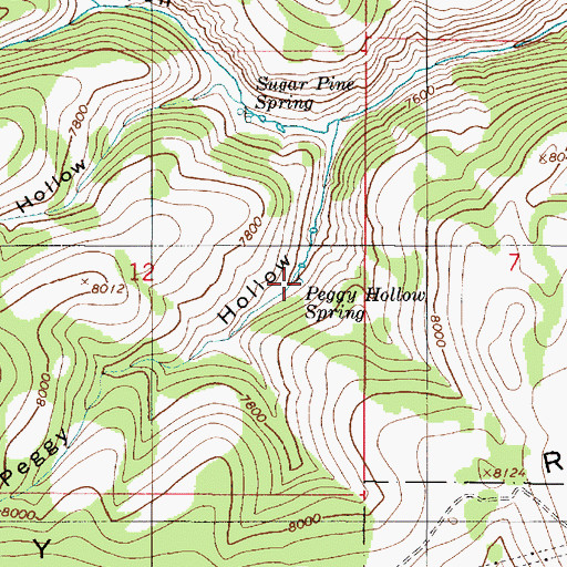 Topographic Map of Peggy Hollow Spring, UT