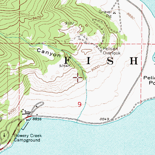 Topographic Map of Pelican Canyon, UT