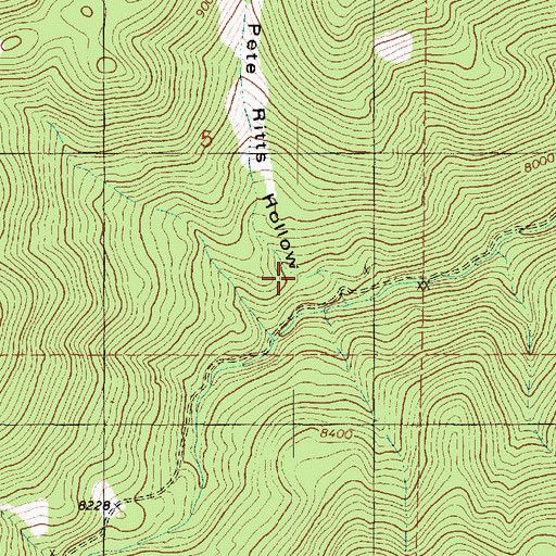 Topographic Map of Pete Ritts Hollow, UT