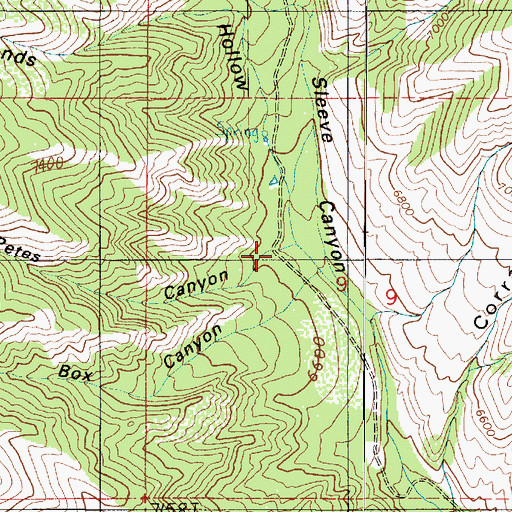 Topographic Map of Petes Canyon, UT