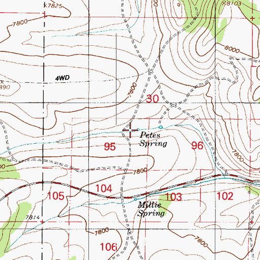 Topographic Map of Petes Spring, UT