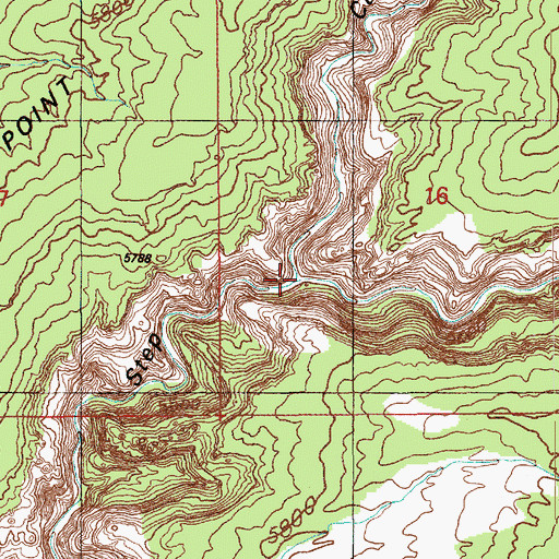 Topographic Map of Pine Canyon, UT