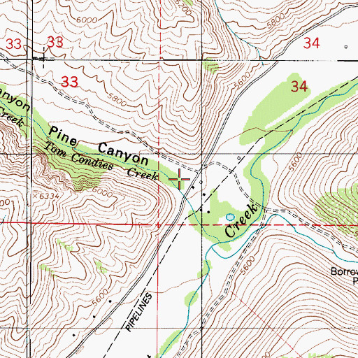 Topographic Map of Pine Canyon, UT