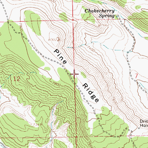 Topographic Map of Pine Ridge, UT