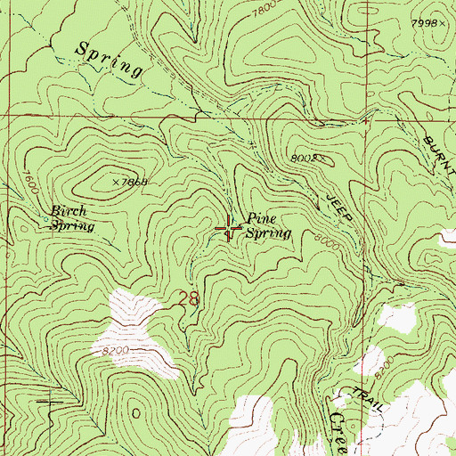 Topographic Map of Pine Spring, UT