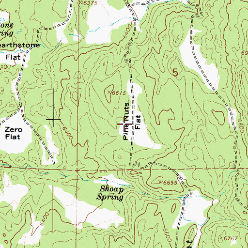 Topographic Map of Pinenuts Flat, UT