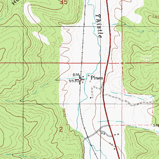 Topographic Map of Pines, UT