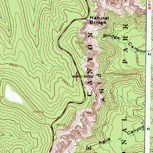 Topographic Map of Pink Cliffs, UT
