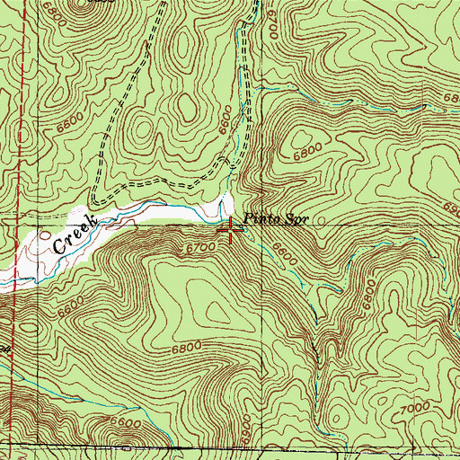 Topographic Map of Pinto Spring, UT