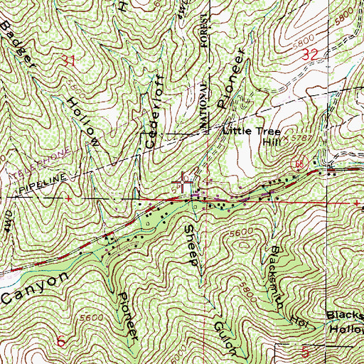 Topographic Map of Pioneer Fork, UT