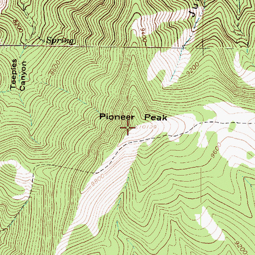 Topographic Map of Pioneer Peak, UT