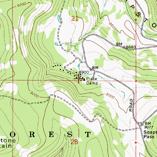 Topographic Map of Piuta Camp, UT