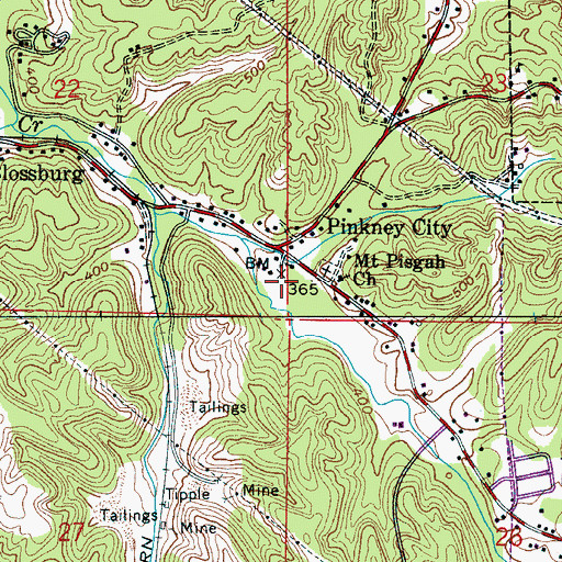 Topographic Map of Pinkney City Elementary School, AL