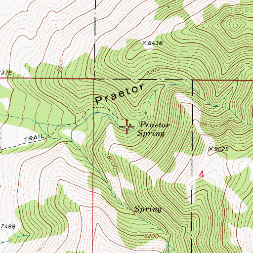 Topographic Map of Praetor Spring, UT