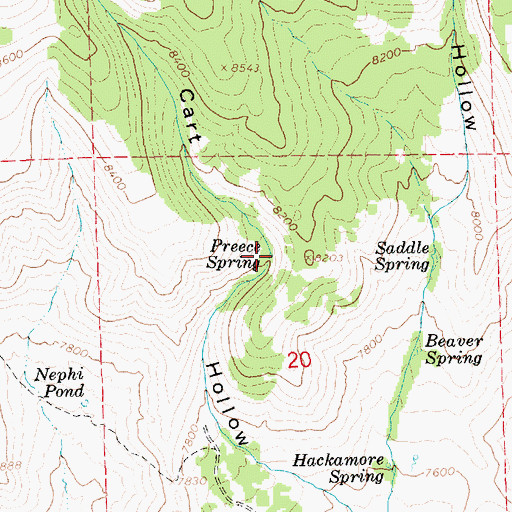 Topographic Map of Preece Spring, UT