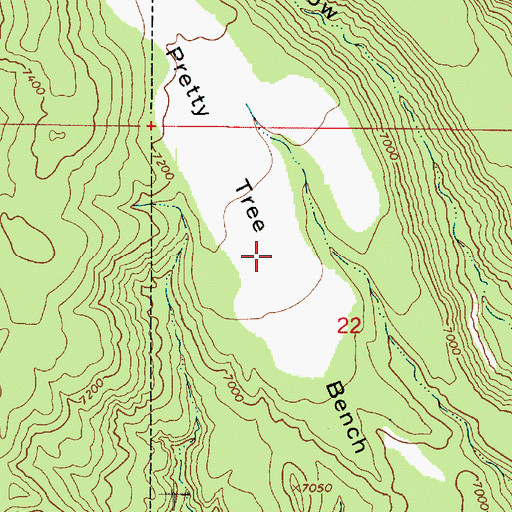 Topographic Map of Pretty Tree Bench, UT