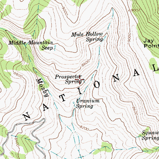 Topographic Map of Prospector Spring, UT