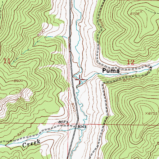 Topographic Map of Puma Hollow, UT