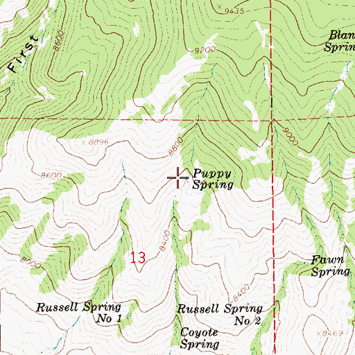 Topographic Map of Puppy Spring, UT
