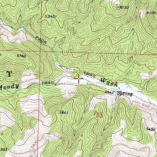 Topographic Map of Racer Canyon, UT