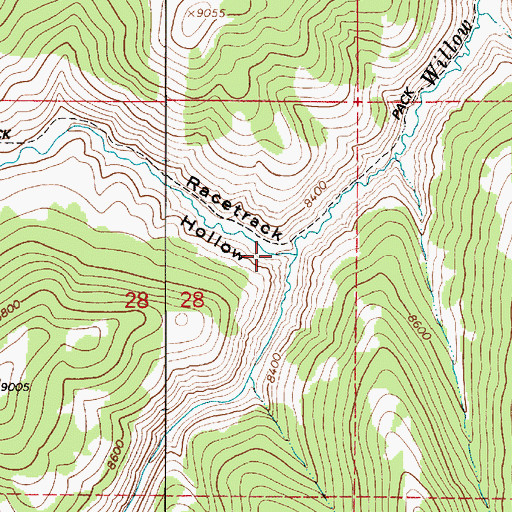 Topographic Map of Racetrack Hollow, UT