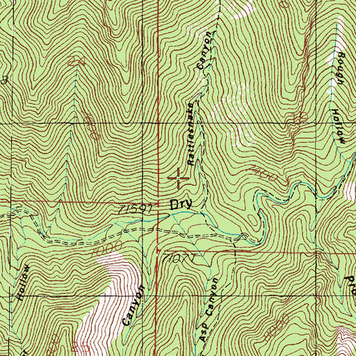 Topographic Map of Rattlesnake Canyon, UT