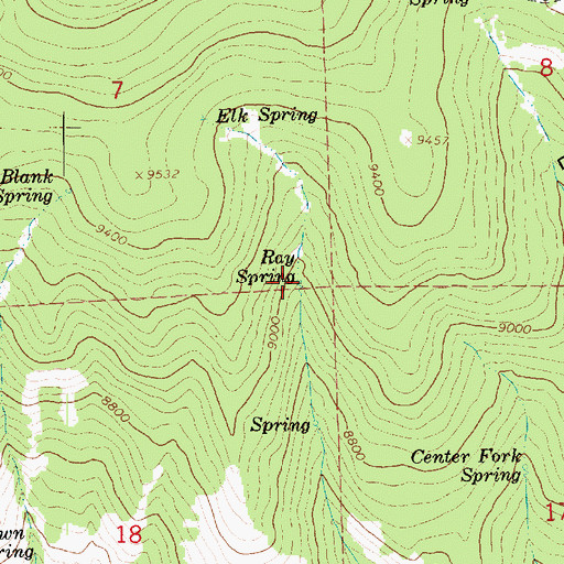 Topographic Map of Ray Spring, UT