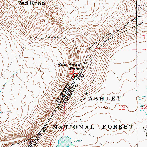 Topographic Map of Red Knob Pass, UT