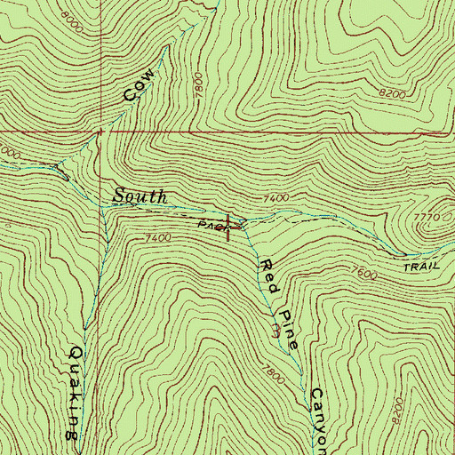 Topographic Map of Red Pine Canyon, UT