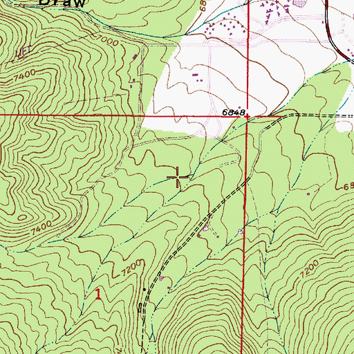 Topographic Map of Red Pine Canyon, UT