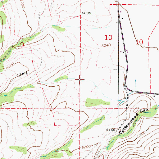 Topographic Map of Red Pine Canyon, UT