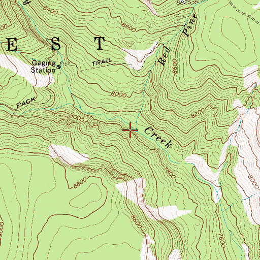 Topographic Map of Red Pine Creek, UT