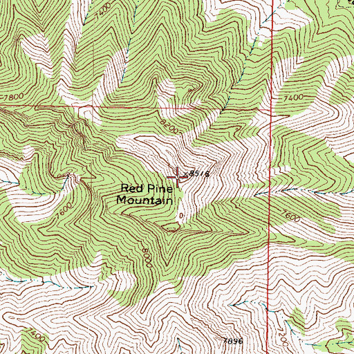 Topographic Map of Red Pine Mountain, UT